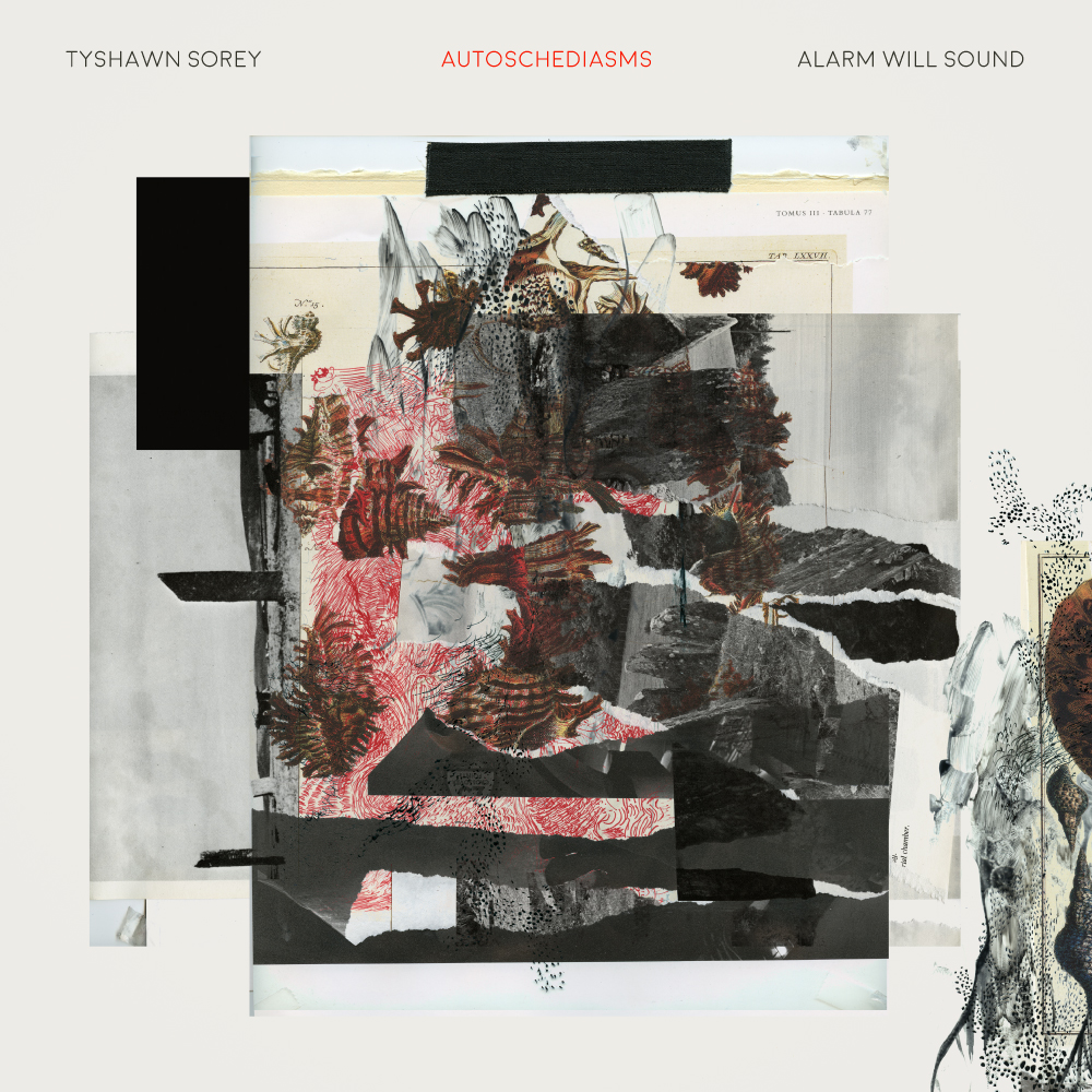 Autoschediasms album cover